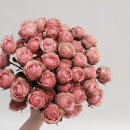 루나플라워 이미지