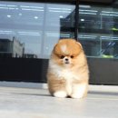 요미 티스토리
