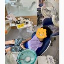 봄빛치과의원 이미지