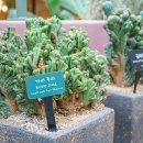 이풀실내정원 이미지