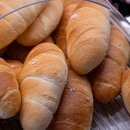 수원-0712 이미지