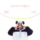 판다미