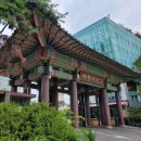 세종택스앤어카운팅 | #2022년 세종대학교 관광대학원 관광경영학부 여행항공경영 후기입학