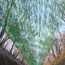 단양수도지사 2층 | 단양 당일치기 여행 코스: 구경시장, 만천하스카이워크, 잔도, 도담삼봉 석문, 매운탕