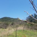 재호농장 이미지