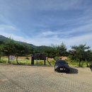 흥월로 티스토리