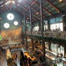 더티트렁크 이미지