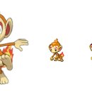 #390 불꽃숭이/Chimchar/ヒコザル 이미지