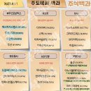 2023년 9월 11일 내일 시가단타 예상, 상한가 및 급등주, 시간외 특징주 이미지