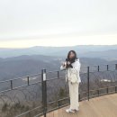 TBA카프라자부분 | 아이동반 발왕산 후기 | 케이블카 타고 멋진 전경 구경 가능