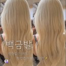 (상반기)인생의 사계절을 만나다 | 부산 전포동 미용실 무익(Muik) 서아쌤이추천하는 얼룩 없는 화이트블론드 백금발 탈색 + 레이어드컷...