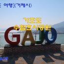 수협 앞 교통섬 이미지