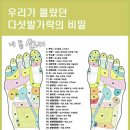 다섯발가락