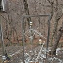 성주산자연휴양림 이미지