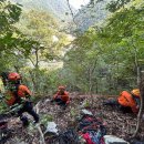 경주 119 구조대 출동 &#39;덕동 산 추락 사고&#39; 이미지