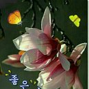 따뜻한말한마디