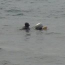 해녀노래 이미지