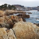 월전근린공원 이미지