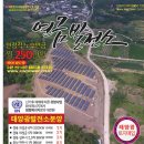 중앙 태양광발전소 이미지