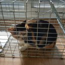 하정 동물병원 이미지