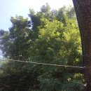 맑은세차장 이미지