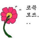 쁘띠독펜션