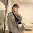 블루캔넬 | 강아지 이동가방, 슬링백, 크로스백 추천 ㅣ 패리스독 강아지 슬링백 후기