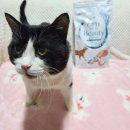 샤이니덴탈 이미지