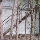 행복이머무는집 이미지