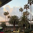 씨유제주삼도행복점 | 제주시 여행 팜파스 호텔 제주 제주공항 근처 가성비 오션뷰 숙소 내돈내산 솔직 추천 후기