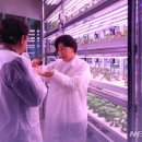 김동현농장 이미지