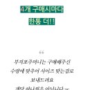 내다람쥐 이미지