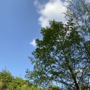 달숲스테이 이미지