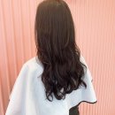 호담헤어살롱