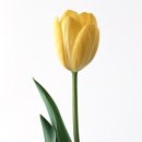 미리내의원 이미지