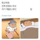 [ 랜만에 써보는 블로그 *^^* ] 자취 집밥 / 주말 우래옥 / 그림자뮤츠 / 도어이스케이프 럭키 / 에버...