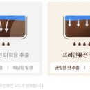 더크레마 이미지