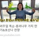 2020년 종려주일 특순 - 종려나무 가지 만들기 & 호산나 찬양 이미지