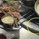 바글 뉴스1