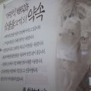 설악정육