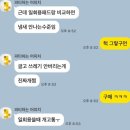배변패드 추천 오놀라 진도믹스 사용 후기(세척법, 관리법)