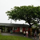 하와이 관광여행 이야기(13).... 오아후섬 해안도로를 달려 보다. 이미지