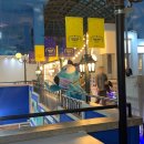 올리브아카데미영.수학원 | [최신 정보 반영]26년 3월 키즈아니야 후기/꿀팁