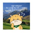 영창노래방 | 이제는 여름에 대해 말할 수 있다