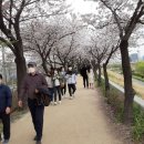 안양천의 화창한 봄날(2021.4.2) 이미지