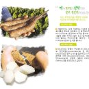 산지직거래 안동산약마(생마) 공구 - 특마,중소혼합마 (특마 6kg 판매중) 이미지