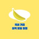 (주)지오메드팜 | 2025년 11월 국내 기업 3분기 실적 발표 일정