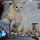 지에스25잠실2점 이미지