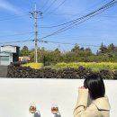 무릉차경 이미지