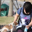 개랑나랑 이미지